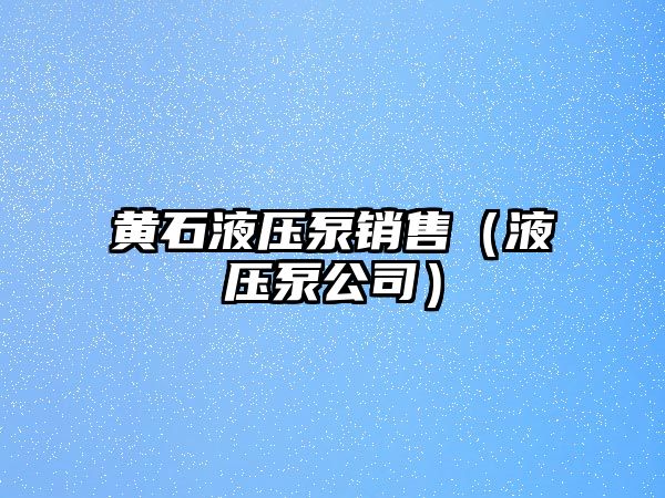 黃石液壓泵銷(xiāo)售（液壓泵公司）